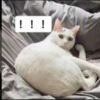 123