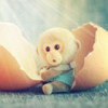 758253552@qq.com